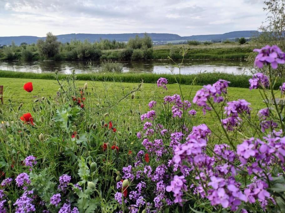 Ferienwohnung Mit Weserblick Und Kamin Hessisch Oldendorf Εξωτερικό φωτογραφία